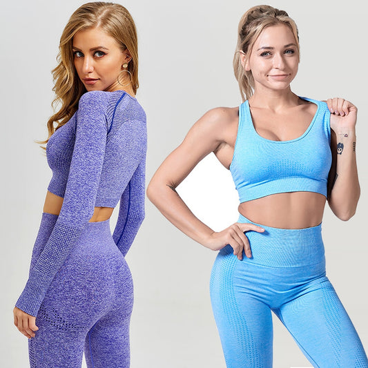 Seamless 2 Fitness Leggings+Cropped Bra  Long Sleeve
