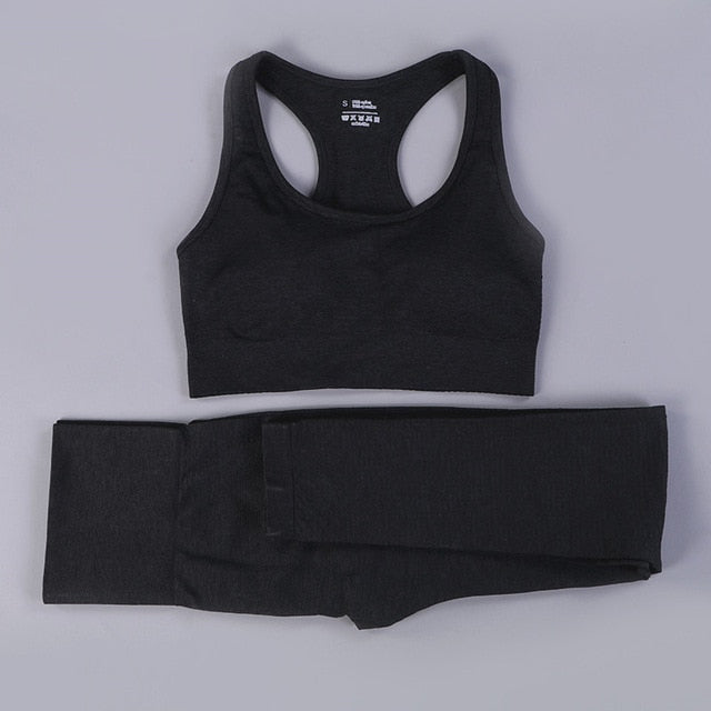 Seamless 2 Fitness Leggings+Cropped Bra  Long Sleeve - CoreYogaWear