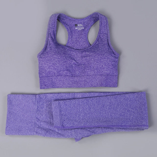 Seamless 2 Fitness Leggings+Cropped Bra  Long Sleeve - CoreYogaWear