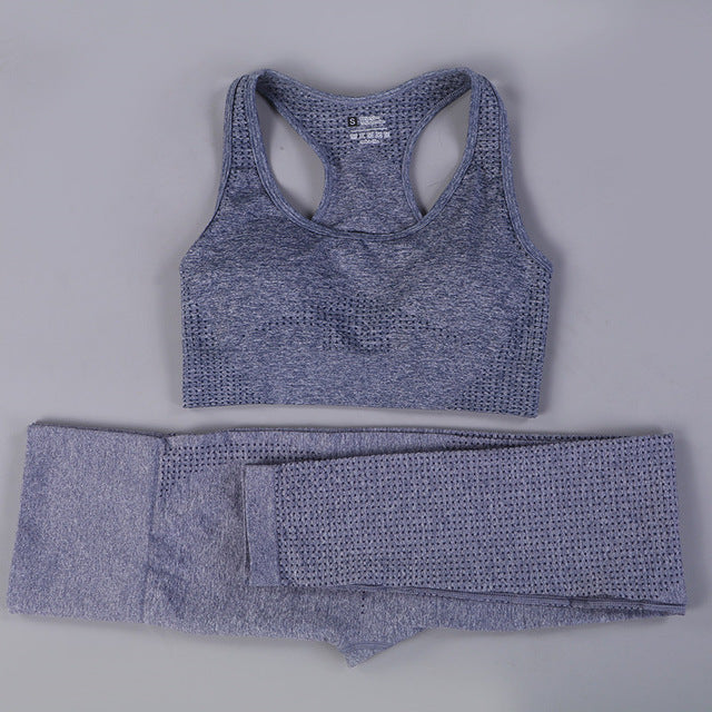 Seamless 2 Fitness Leggings+Cropped Bra  Long Sleeve - CoreYogaWear
