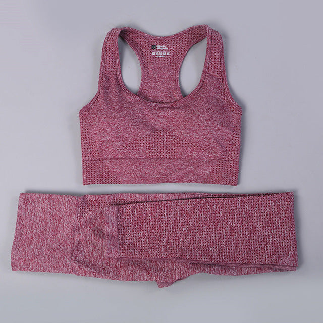 Seamless 2 Fitness Leggings+Cropped Bra  Long Sleeve - CoreYogaWear
