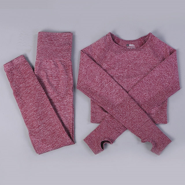 Seamless 2 Fitness Leggings+Cropped Bra  Long Sleeve - CoreYogaWear