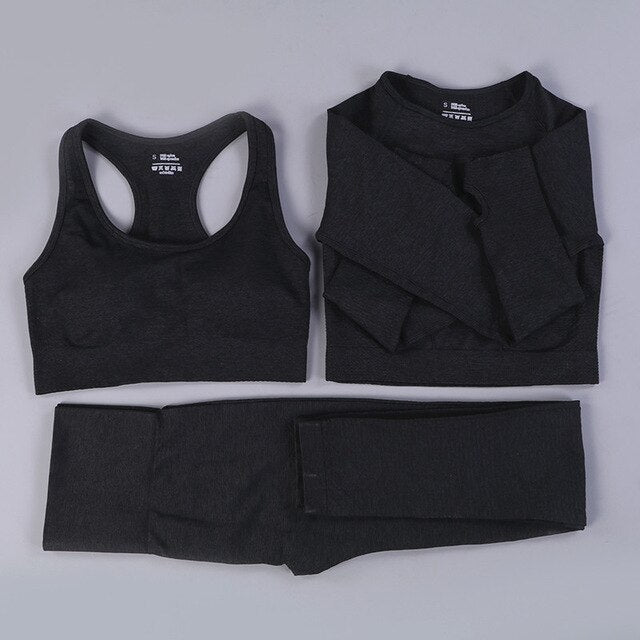 Seamless 2 Fitness Leggings+Cropped Bra  Long Sleeve - CoreYogaWear