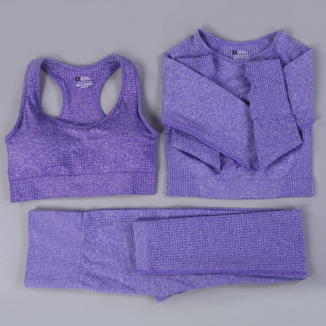 Seamless 2 Fitness Leggings+Cropped Bra  Long Sleeve - CoreYogaWear
