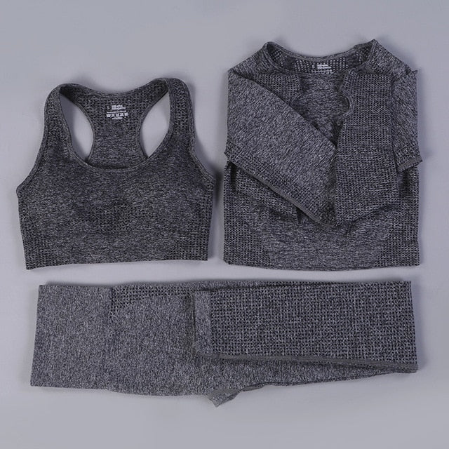 Seamless 2 Fitness Leggings+Cropped Bra  Long Sleeve - CoreYogaWear