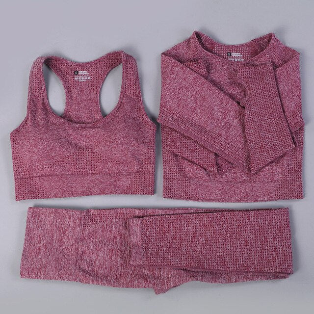 Seamless 2 Fitness Leggings+Cropped Bra  Long Sleeve - CoreYogaWear