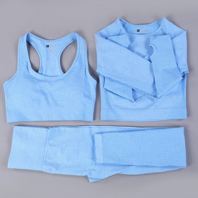 Seamless 2 Fitness Leggings+Cropped Bra  Long Sleeve - CoreYogaWear