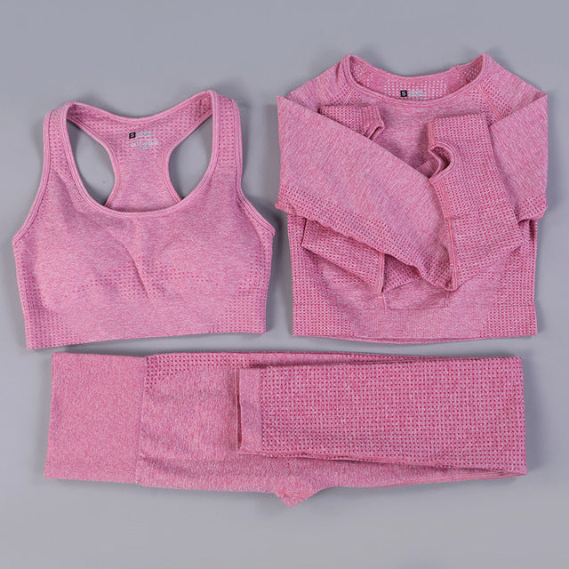 Seamless 2 Fitness Leggings+Cropped Bra  Long Sleeve - CoreYogaWear
