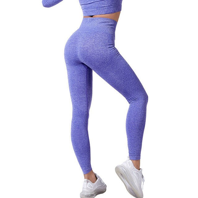 Seamless 2 Fitness Leggings+Cropped Bra  Long Sleeve - CoreYogaWear